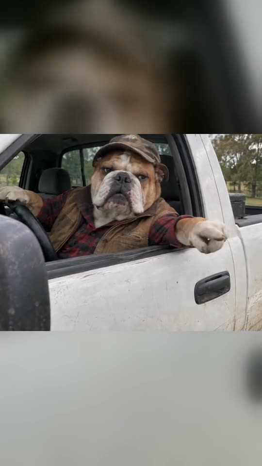 Hit the Road Dude AI video example