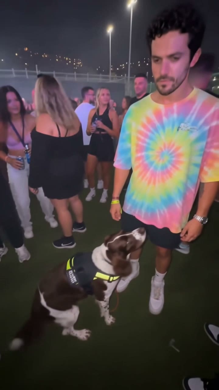 Sniffer Dog Meme AI video example